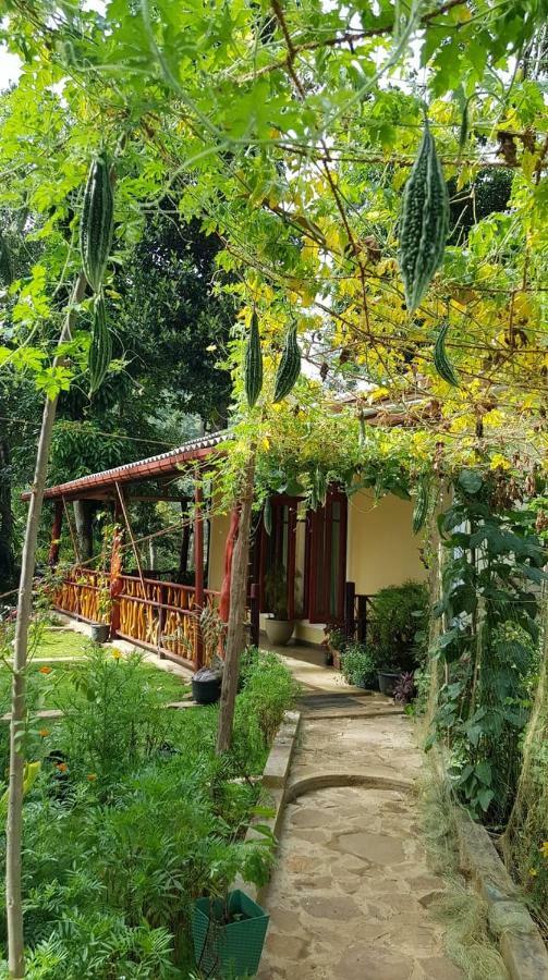 Happy Horizon Home Stay Элла Экстерьер фото